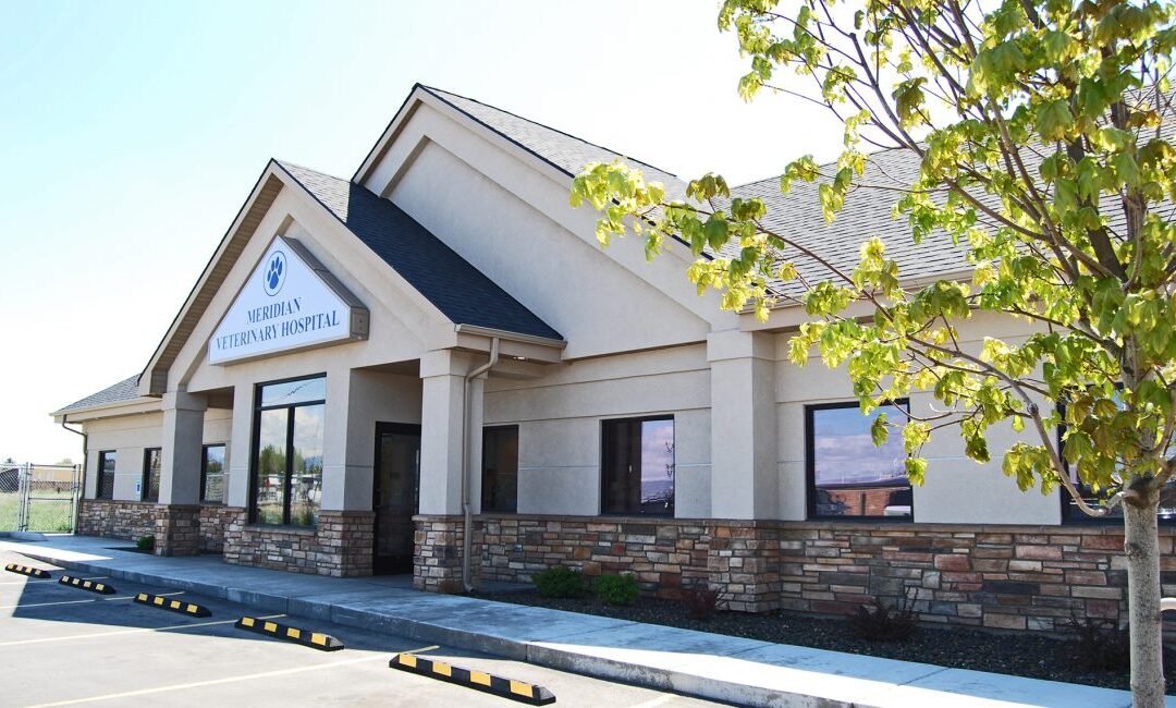 Meridian Veterinary Hospital